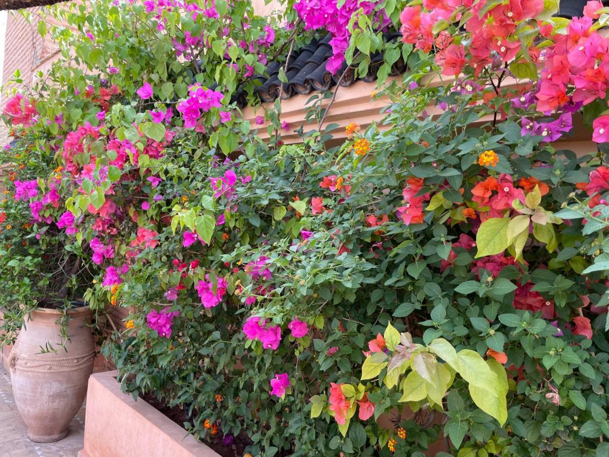 Riad Zouhour Marrakesh Exterior foto