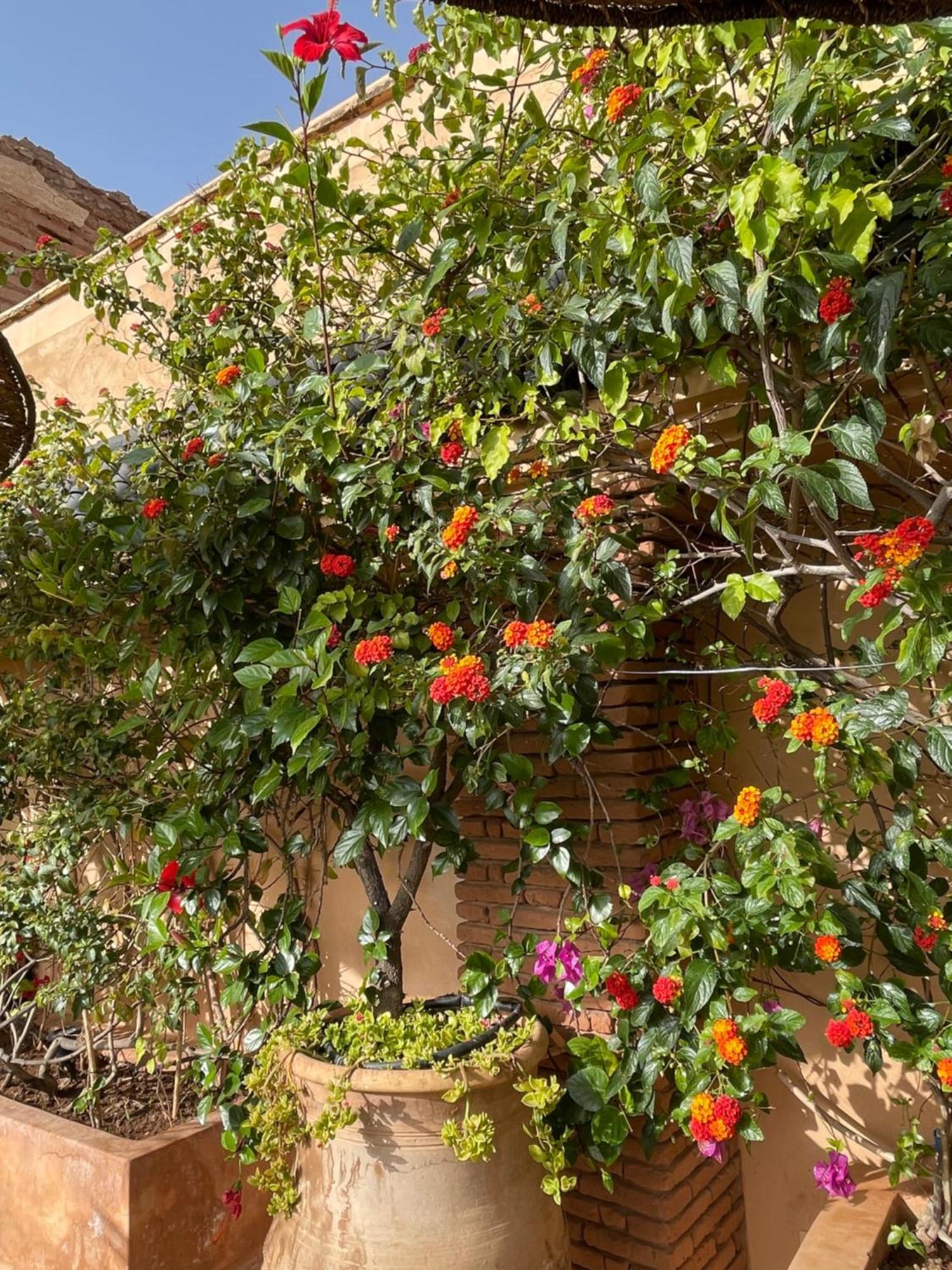 Riad Zouhour Marrakesh Exterior foto